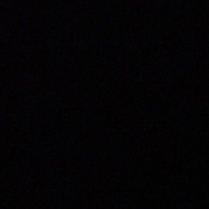 Meet your Posher, Shelby